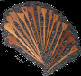 abanico - cartellucho - avat
