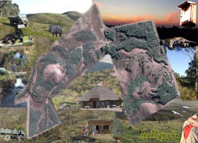 Colage "La tapera de la pacha mama"